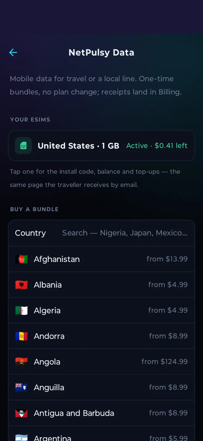 NetPulsy Data: an active eSIM and a country list with prices